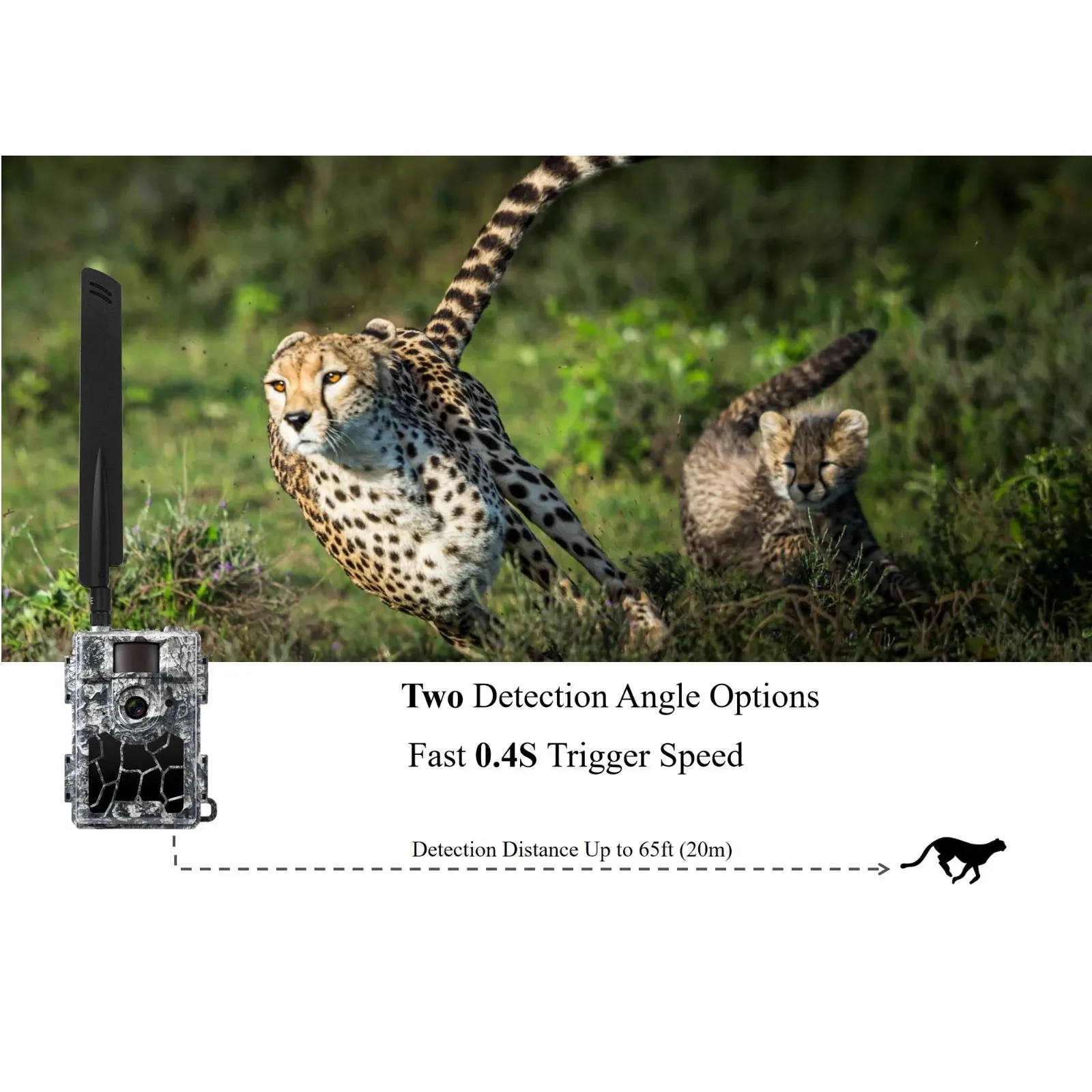 4G LTE Trail Camera & GPS Tracker 24MP Photo 1080p FHD Video Stream Smart Android / iOS App