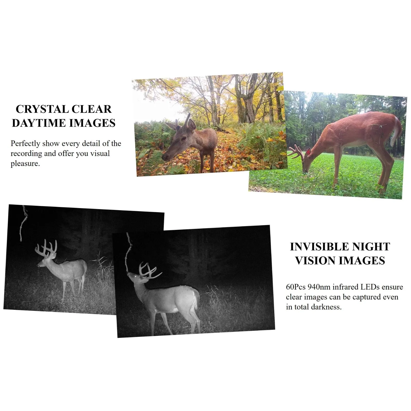4G LTE Trail Camera & GPS Tracker 24MP Photo 1080p FHD Video Stream Smart Android / iOS App