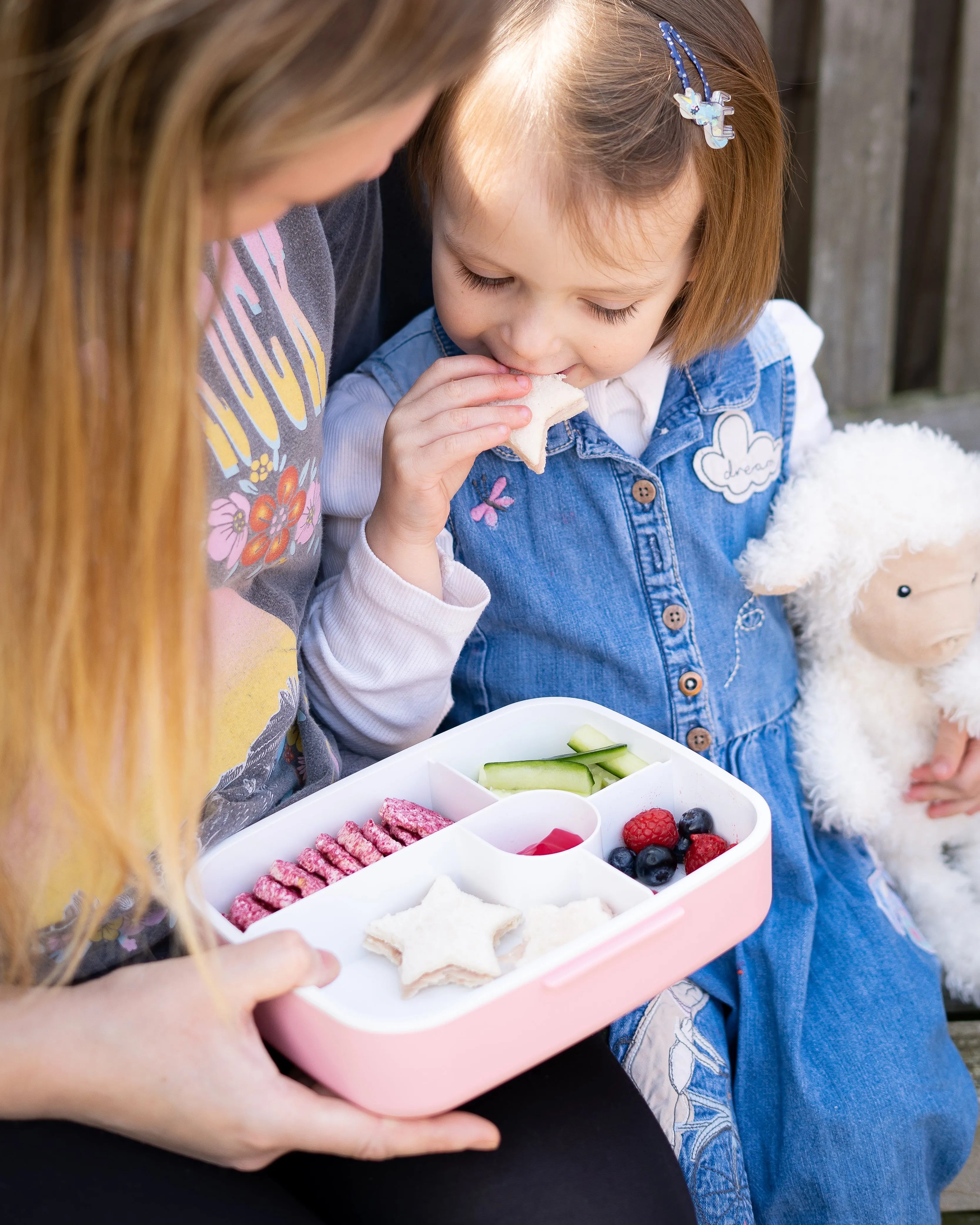 5 Compartment Lunch / Bento Box for Kids & Adults! | Includes Cutlery - Fork & Spoon | Leak-Proof & BPA-Free | Microwave, Freezer & Dishwasher Safe
