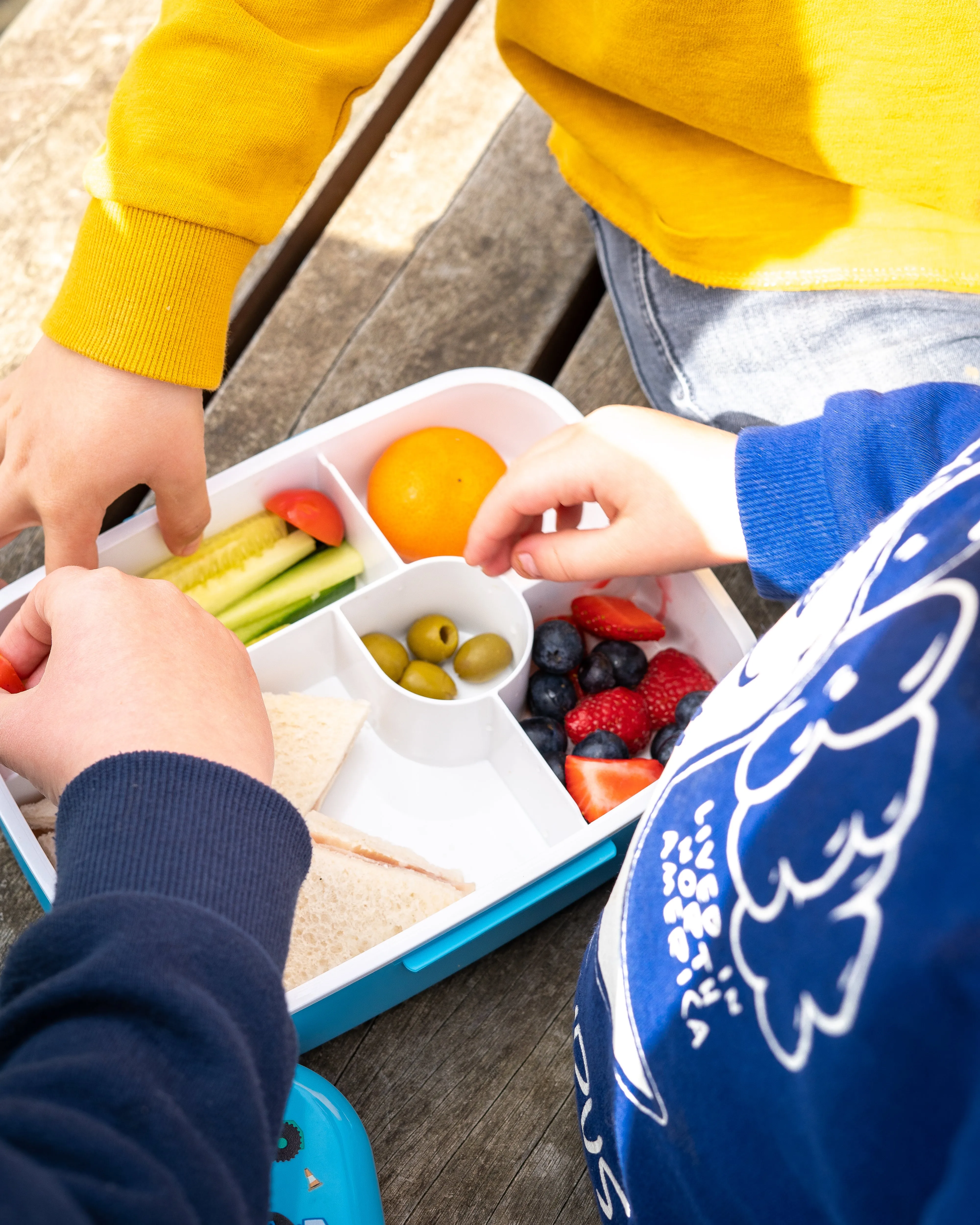 5 Compartment Lunch / Bento Box for Kids & Adults! | Includes Cutlery - Fork & Spoon | Leak-Proof & BPA-Free | Microwave, Freezer & Dishwasher Safe