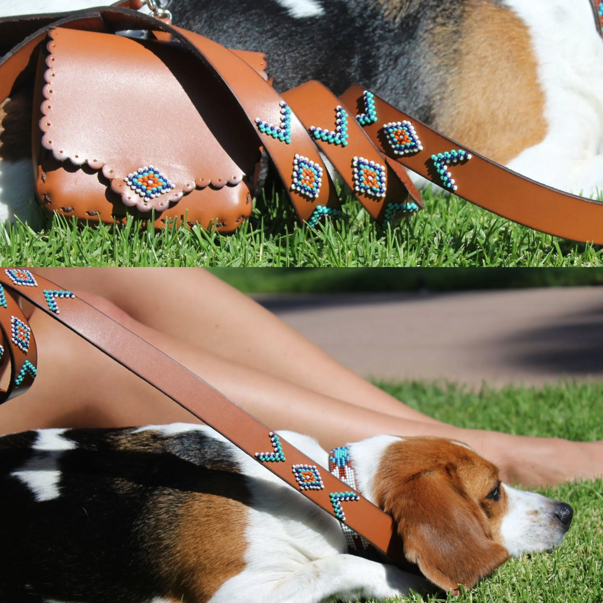 Aztec Leash and Bag Bundle