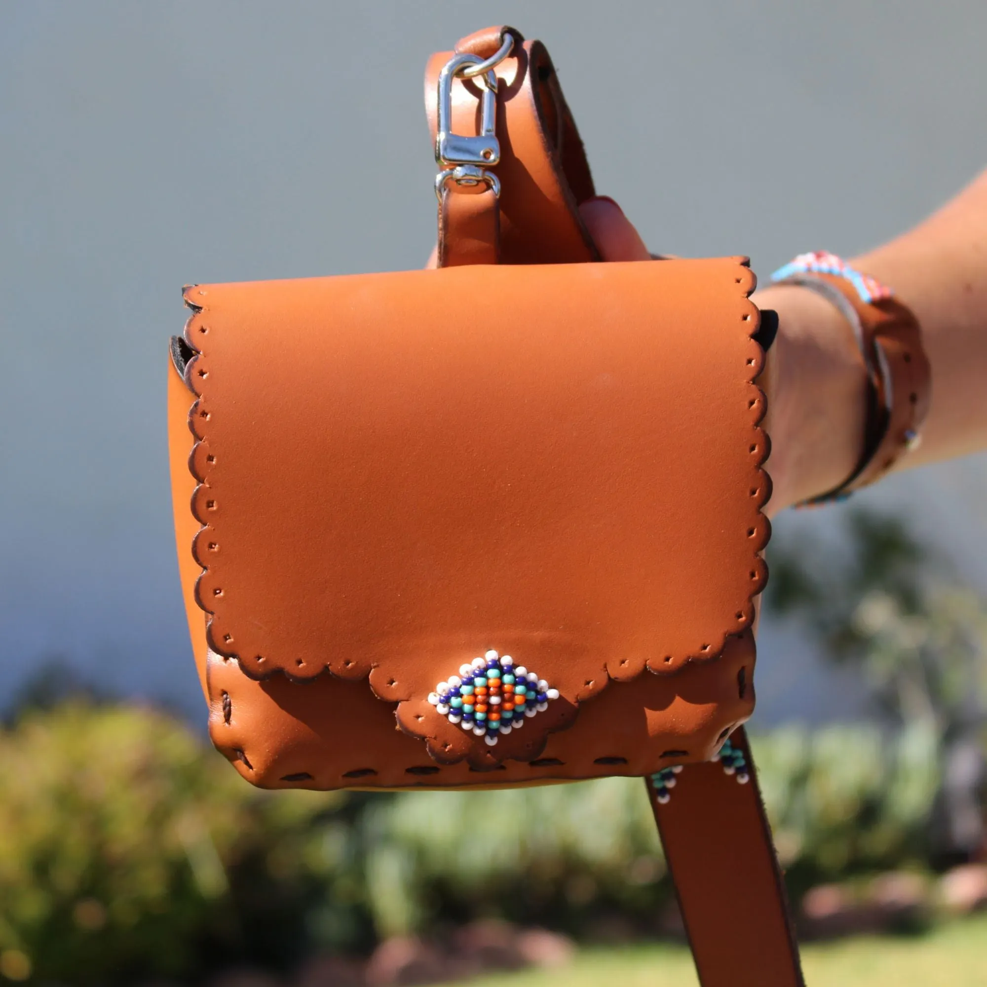 Aztec Leash and Bag Bundle