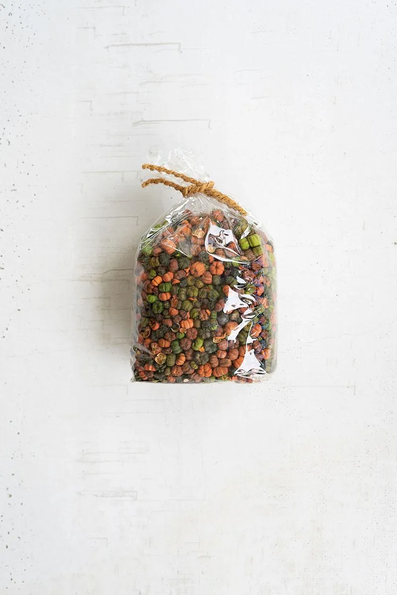 Bag of Orange and Green Putka Pods (Pack of 12 bags)