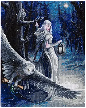 CAK-AST1: "Midnight Messenger" 40 x 50cm (Large) - Anne Stokes