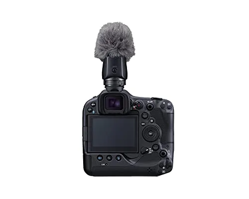 Canon Stereo Microphone DME1D