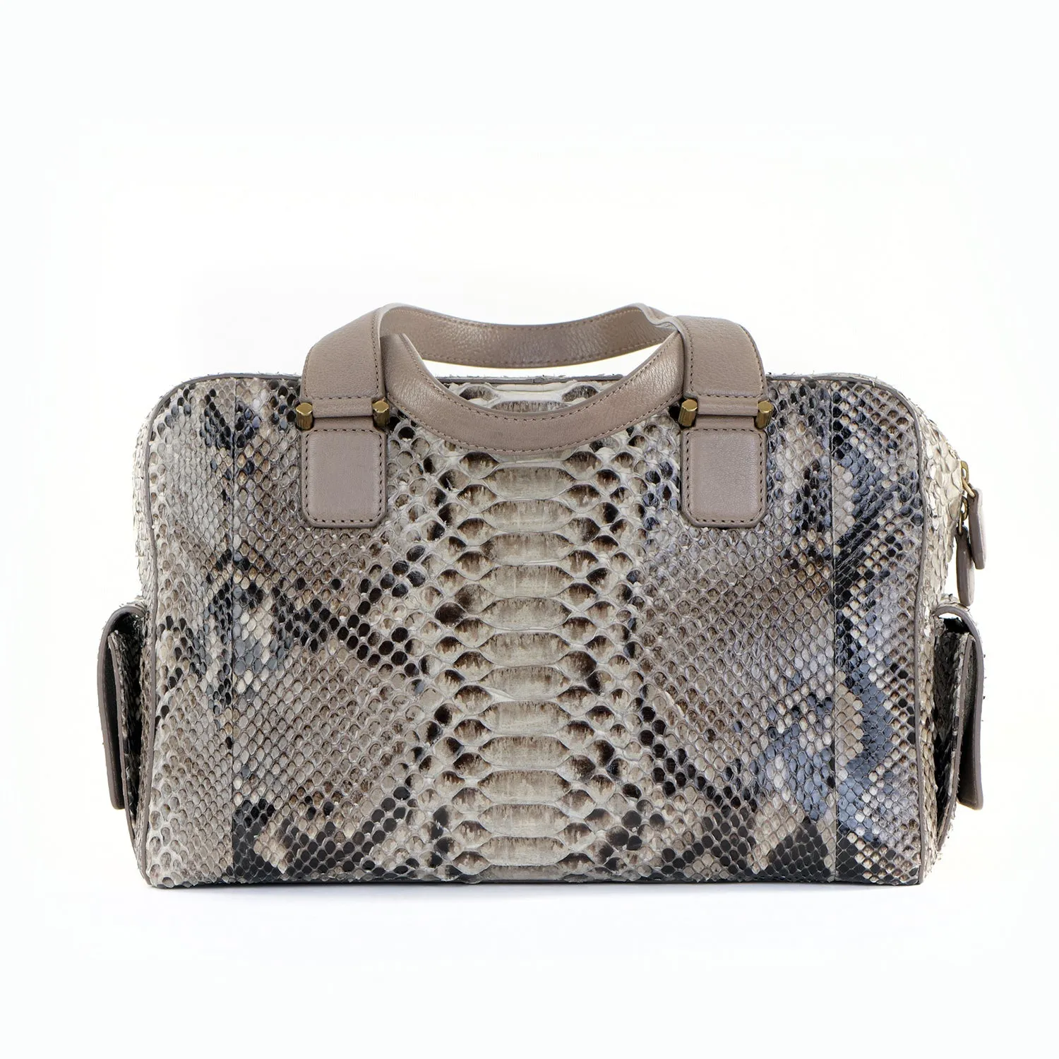 Catherine Snakeskin Box Satchel