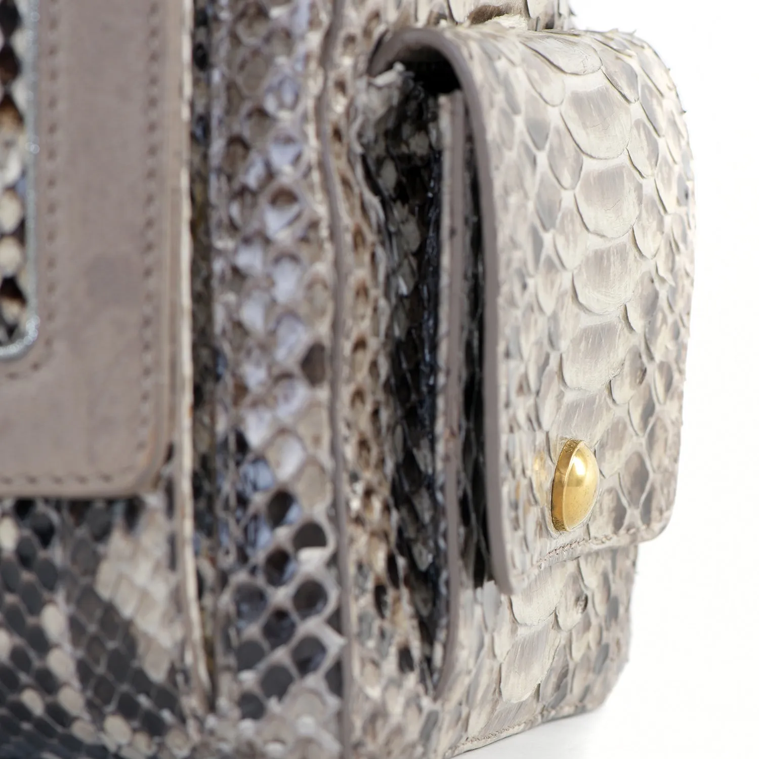 Catherine Snakeskin Box Satchel