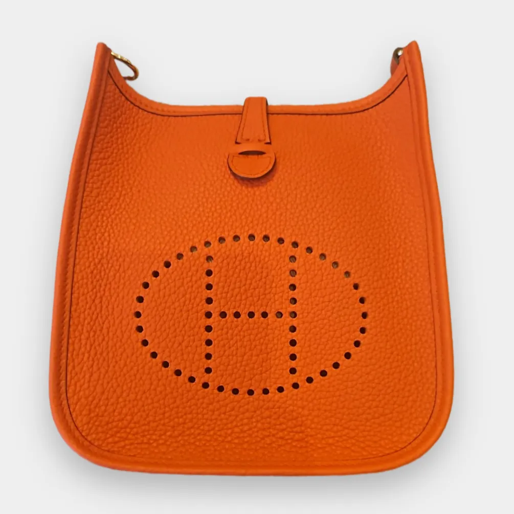 Hermes Evelyne TPM / Mini Amazone