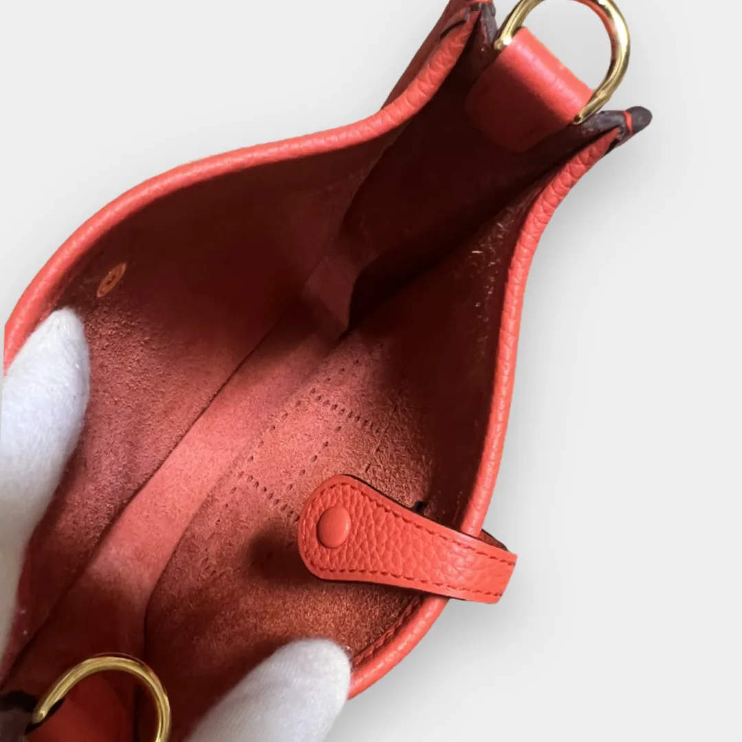 Hermes Evelyne TPM / Mini Amazone