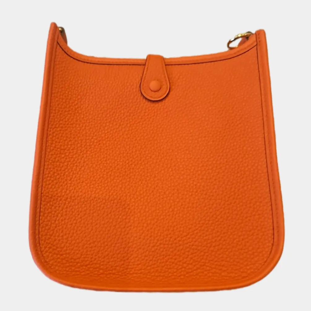 Hermes Evelyne TPM / Mini Amazone