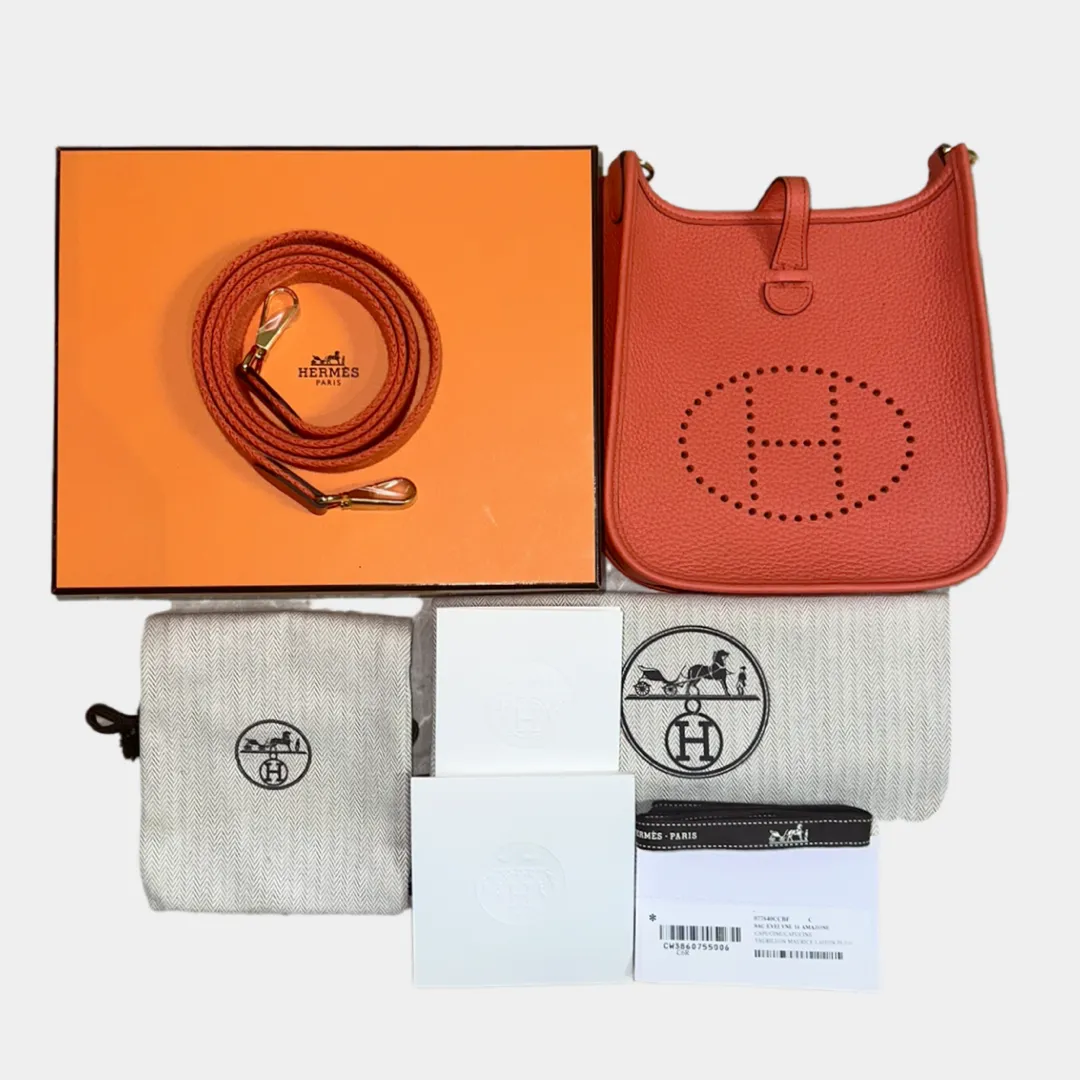 Hermes Evelyne TPM / Mini Amazone