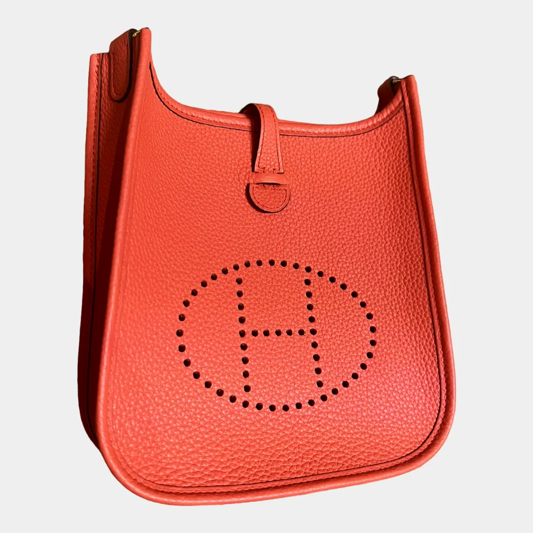 Hermes Evelyne TPM / Mini Amazone