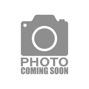 iOptron 12-inch F/4 Imaging Newtonian iEAF compatible - 6315