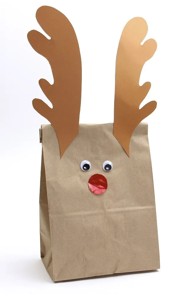 Kraft Brown Paper Bags