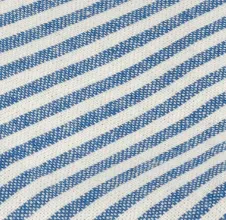 Lake Blue Stripe Waste Bag Dispenser