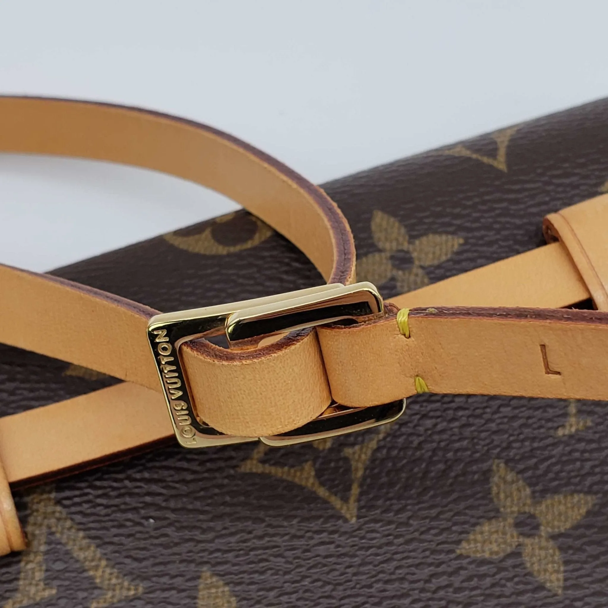 Louis Vuitton Pochette Florentine Browns Monogram Belt Bag