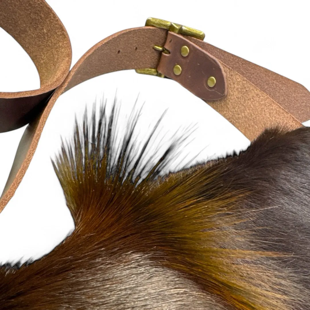 Messenger | Sandalwood Springbok