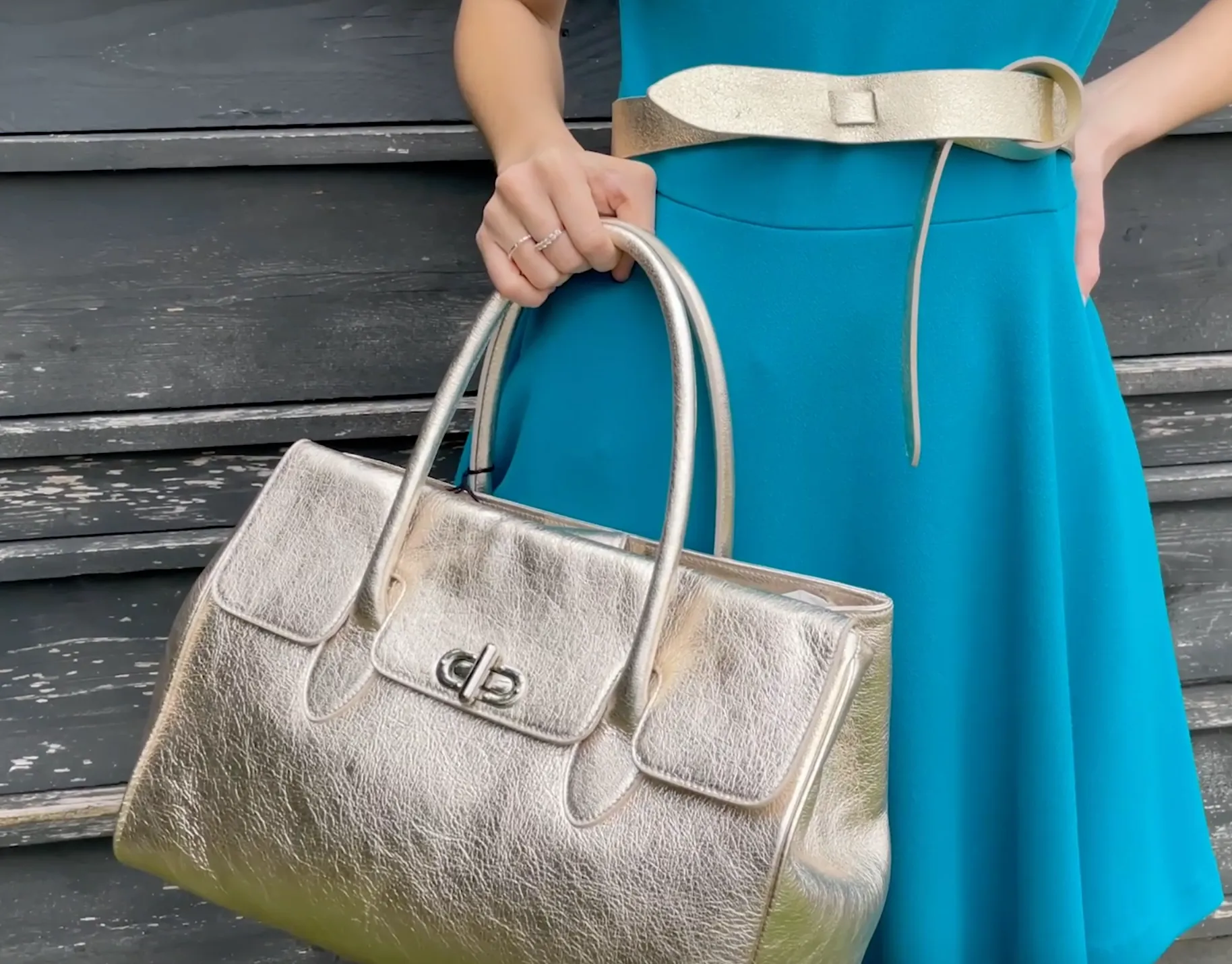 Metallic Leather Bag