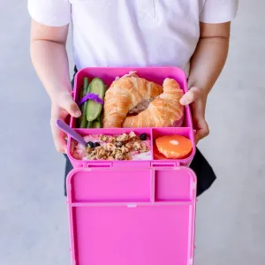 Montiico Bento Plus Lunch Box -  Calypso