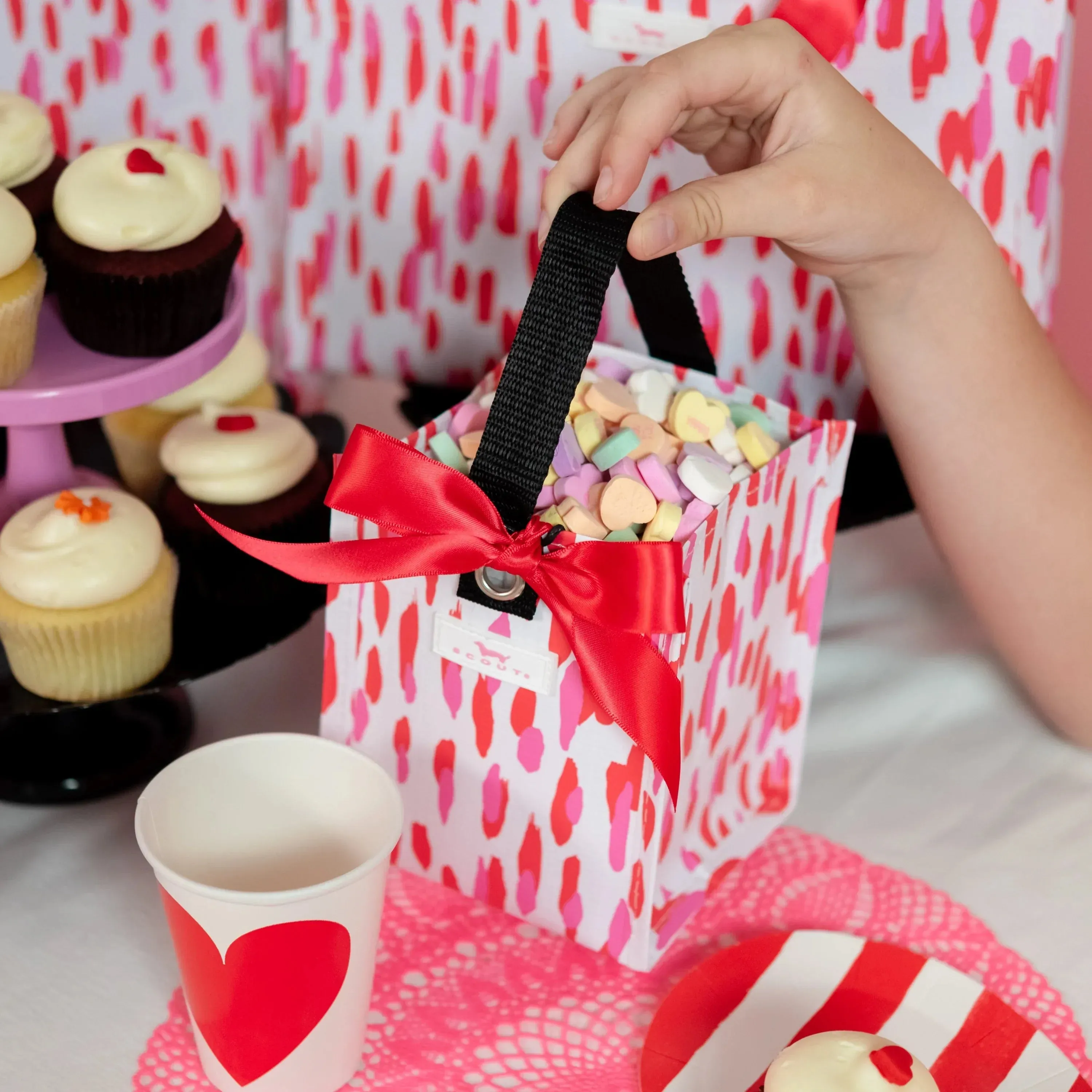 Scout Mini Package Gift Bag - Friend of Dorothy