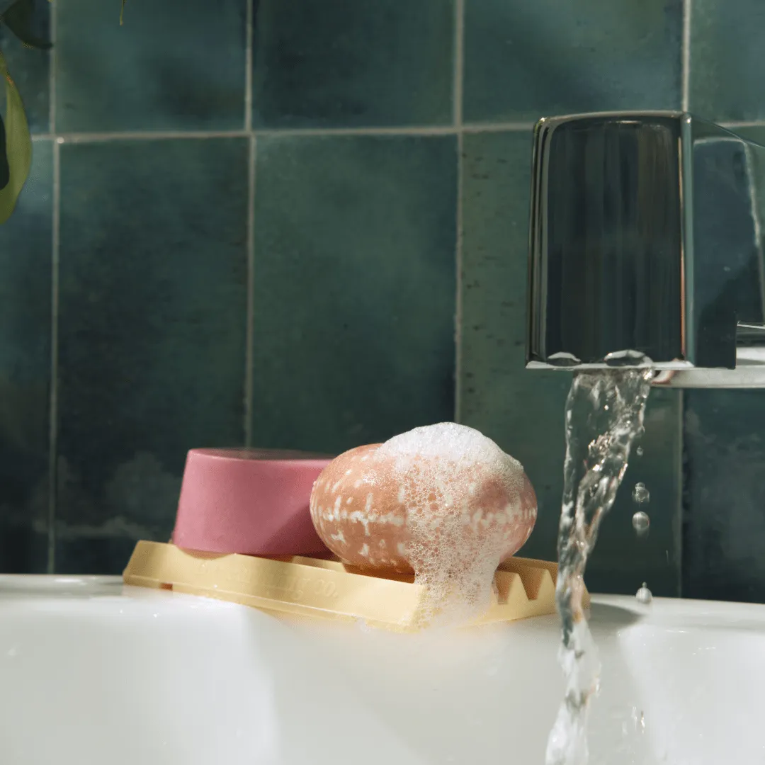 Shampoo & Conditioner Bar Starter Kit