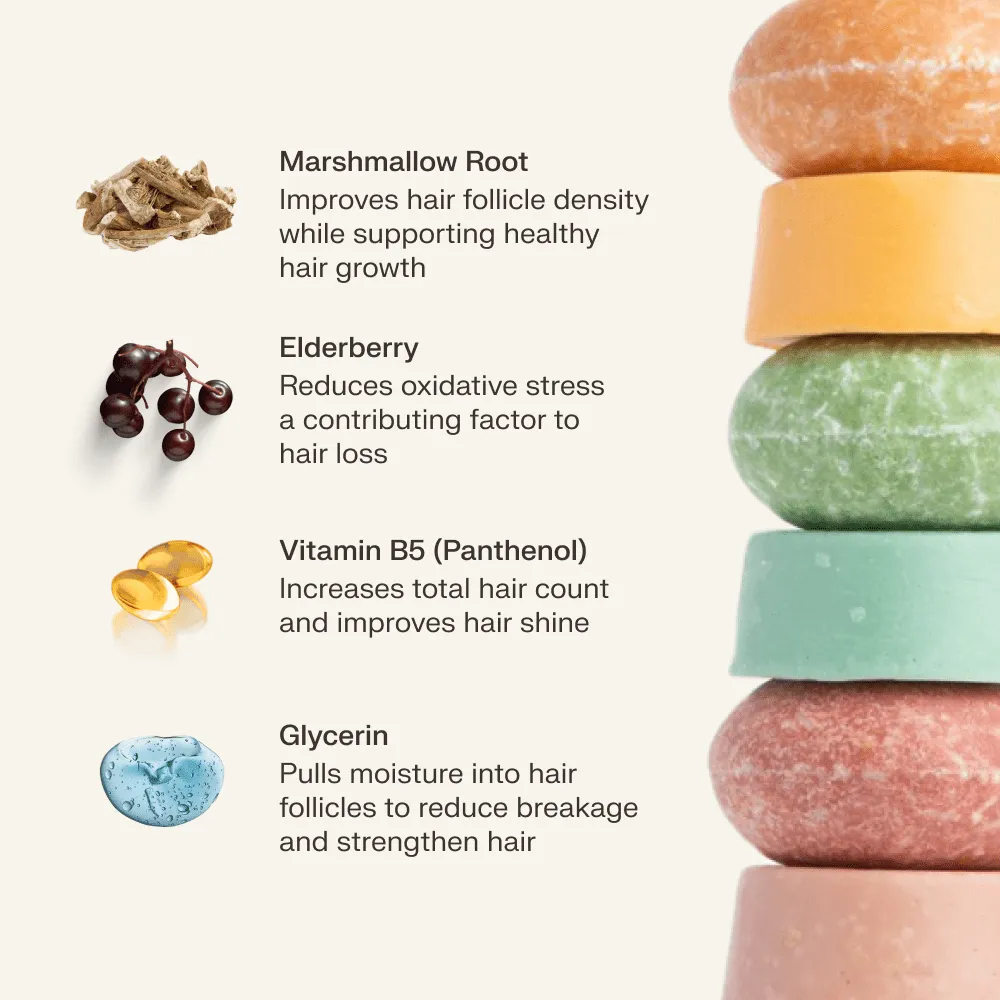 Shampoo & Conditioner Bar Starter Kit