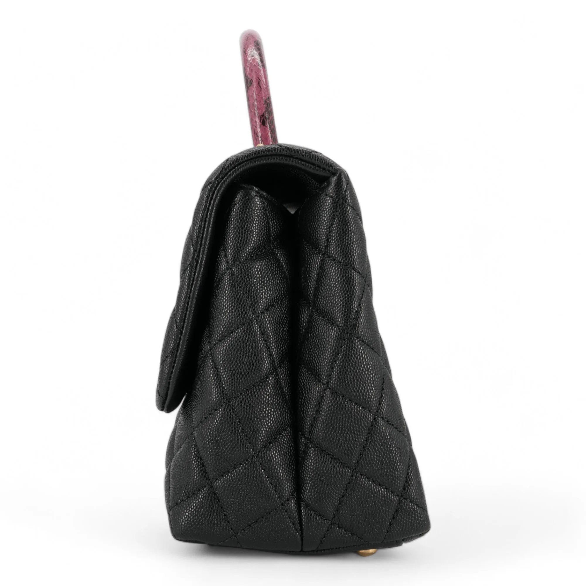 Small Coco Handle Bag with Python Handle in Black Caviar