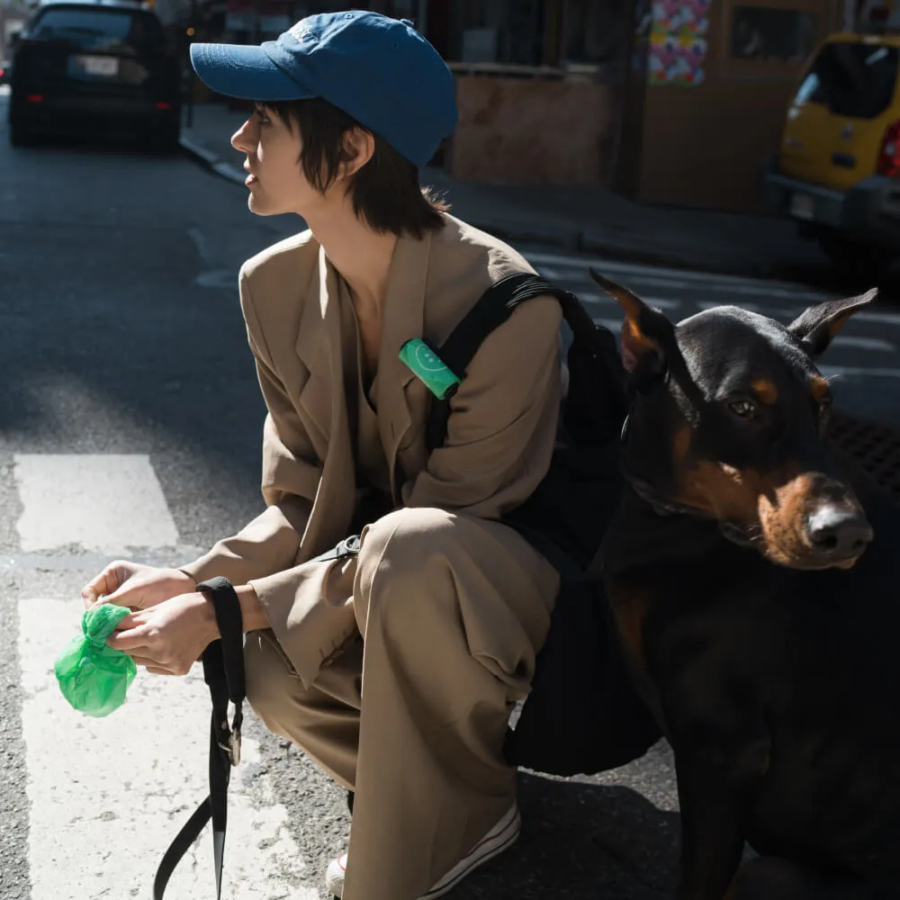 Springer Dog Poop Bag Dispenser   Roll