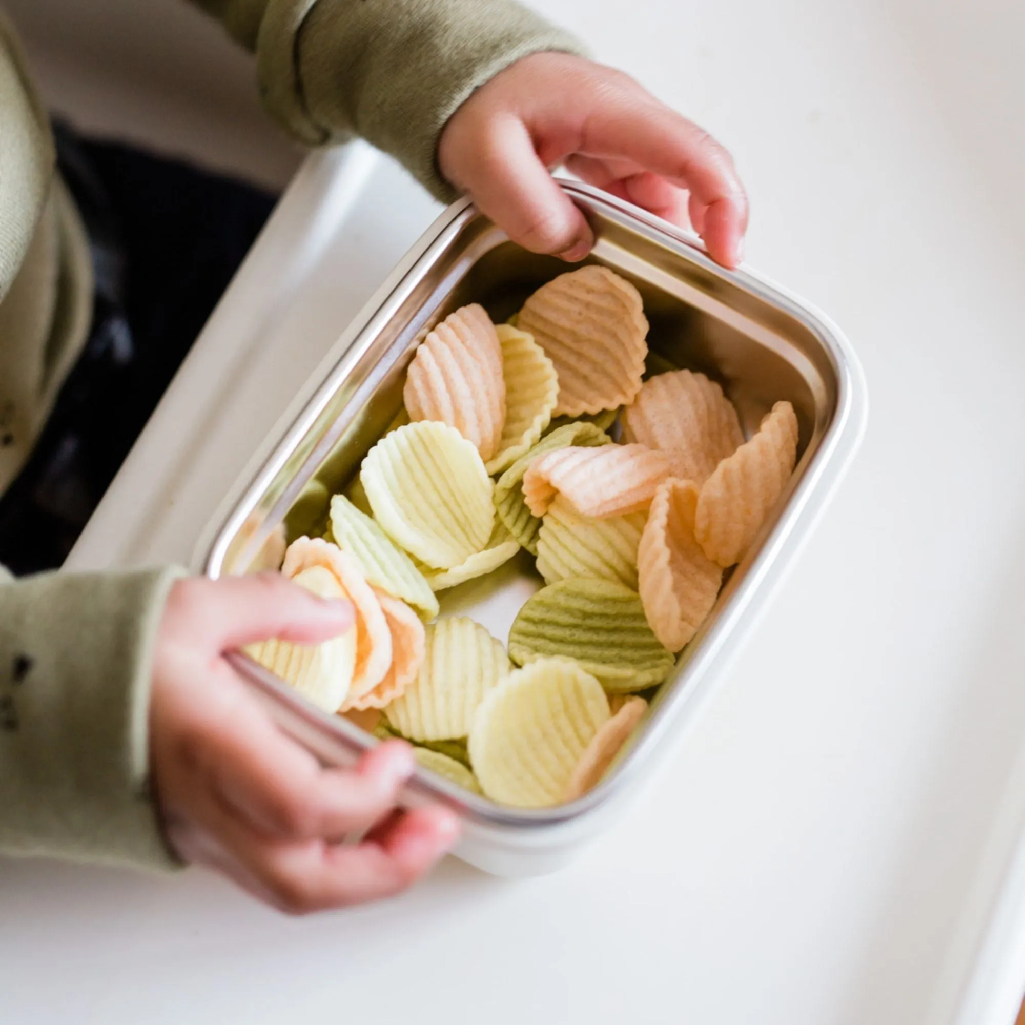 Stainless Mini Lunchbox / 16 oz / Fish