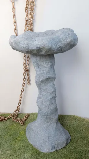 Taylor Lee Nicholson, "Bird Bath"